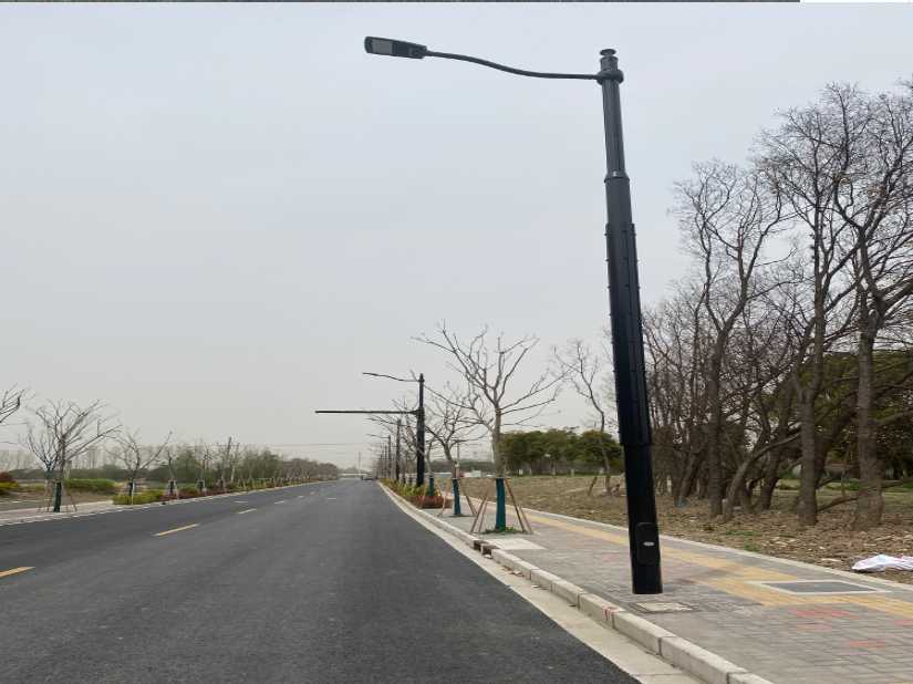 宁明县上海综合杆 太阳能路灯工程